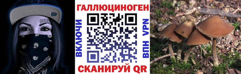 Псилоцибиновые грибы GOLDEN TEACHER  Мостовской 